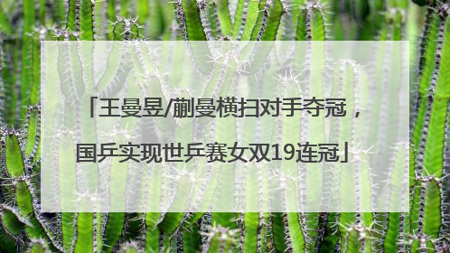 王曼昱/蒯曼横扫对手夺冠，国乒实现世乒赛女双19连冠