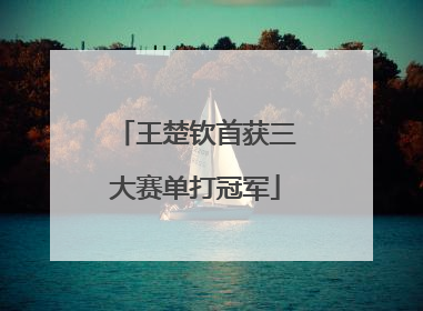 王楚钦首获三大赛单打冠军