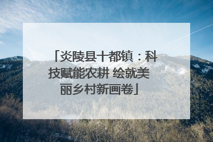 炎陵县十都镇：科技赋能农耕 绘就美丽乡村新画卷
