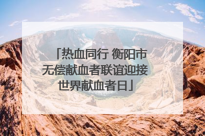 热血同行 衡阳市无偿献血者联谊迎接世界献血者日