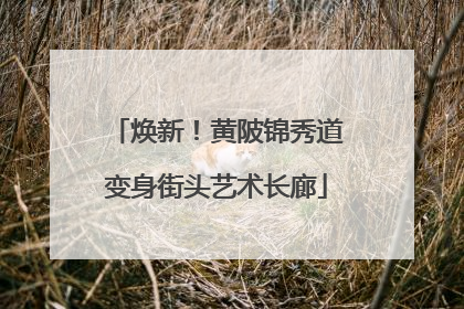 焕新！黄陂锦秀道变身街头艺术长廊