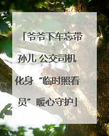 爷爷下车忘带孙儿 公交司机化身“临时照看员”暖心守护