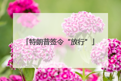 特朗普签令“放行”