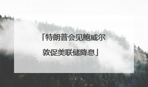 特朗普会见鲍威尔 敦促美联储降息