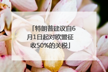 特朗普建议自6月1日起对欧盟征收50%的关税