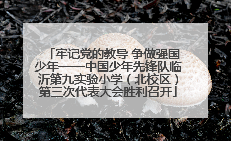 牢记党的教导 争做强国少年——中国少年先锋队临沂第九实验小学（北校区）第三次代表大会胜利召开