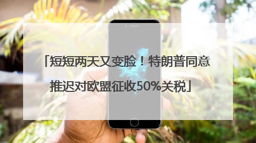 短短两天又变脸！特朗普同意推迟对欧盟征收50%关税