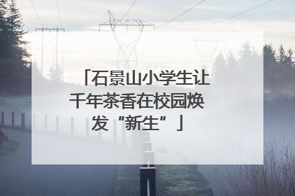 石景山小学生让千年茶香在校园焕发“新生”