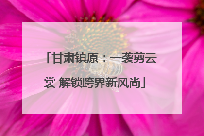 甘肃镇原：一袭剪云裳 解锁跨界新风尚