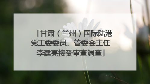 甘肃（兰州）国际陆港党工委委员、管委会主任李建亮接受审查调查