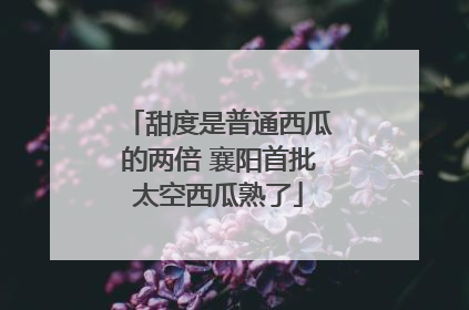 甜度是普通西瓜的两倍 襄阳首批太空西瓜熟了