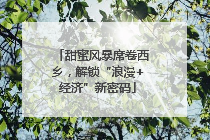 甜蜜风暴席卷西乡，解锁“浪漫+经济”新密码