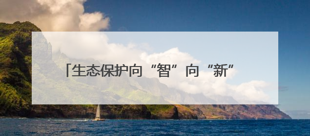 生态保护向“智”向“新” 白海豚有了高科技“保镖”