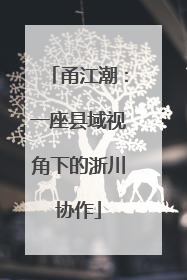 甬江潮：一座县域视角下的浙川协作
