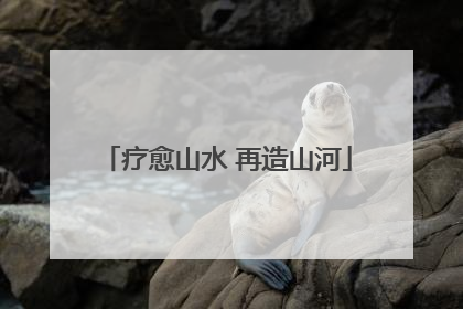 疗愈山水 再造山河