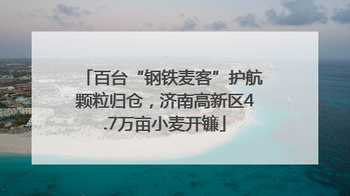 百台“钢铁麦客”护航颗粒归仓，济南高新区4.7万亩小麦开镰
