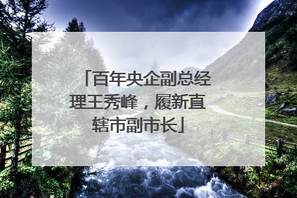 百年央企副总经理王秀峰，履新直辖市副市长