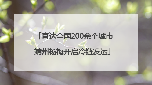 直达全国200余个城市 靖州杨梅开启冷链发运