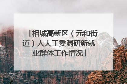 相城高新区（元和街道）人大工委调研新就业群体工作情况