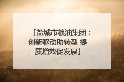 盐城市粮油集团：创新驱动助转型 提质增效促发展