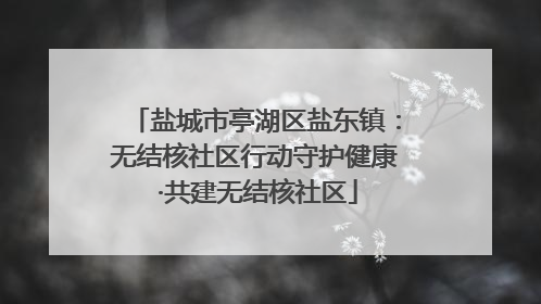 盐城市亭湖区盐东镇：无结核社区行动守护健康 ·共建无结核社区