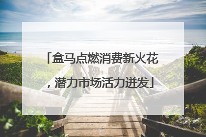 盒马点燃消费新火花，潜力市场活力迸发