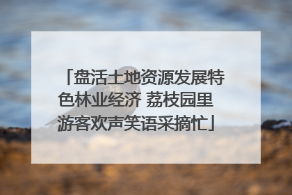盘活土地资源发展特色林业经济 荔枝园里游客欢声笑语采摘忙