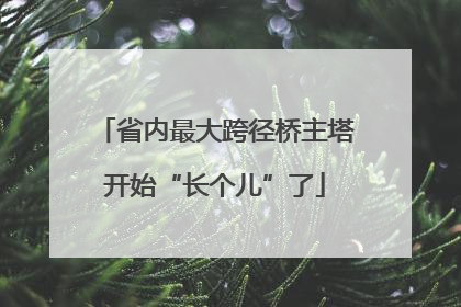 省内最大跨径桥主塔开始“长个儿”了