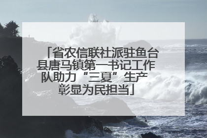 省农信联社派驻鱼台县唐马镇第一书记工作队助力“三夏”生产 彰显为民担当