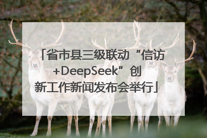 省市县三级联动“信访+DeepSeek”创新工作新闻发布会举行