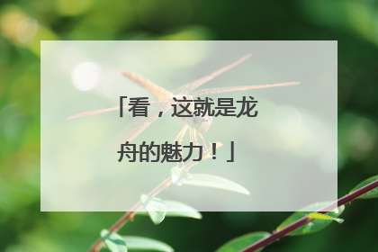 看，这就是龙舟的魅力！