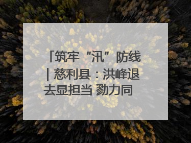 筑牢“汛”防线｜慈利县：洪峰退去显担当 勠力同心启新篇
