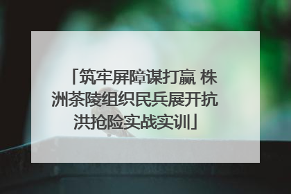 筑牢屏障谋打赢 株洲茶陵组织民兵展开抗洪抢险实战实训