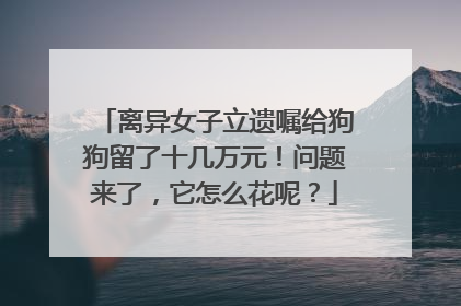 离异女子立遗嘱给狗狗留了十几万元！问题来了，它怎么花呢？