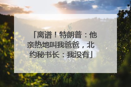 离谱！特朗普：他亲热地叫我爸爸，北约秘书长：我没有