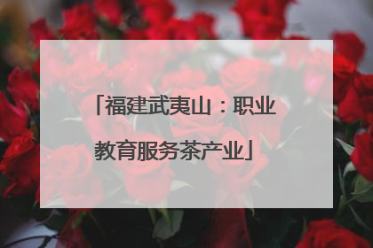 福建武夷山：职业教育服务茶产业