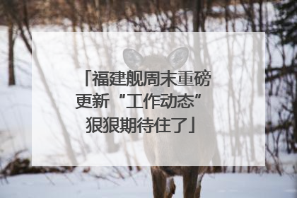 福建舰周末重磅更新“工作动态” 狠狠期待住了