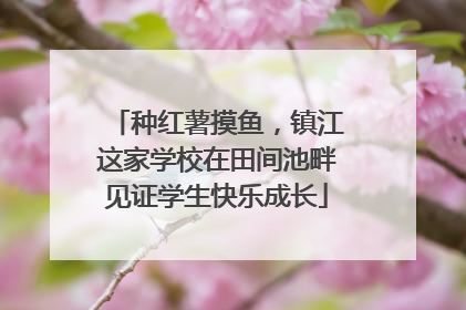 种红薯摸鱼，镇江这家学校在田间池畔见证学生快乐成长