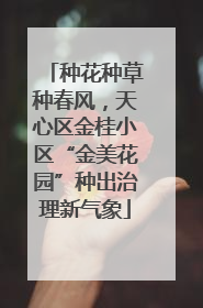 种花种草种春风，天心区金桂小区“金美花园”种出治理新气象