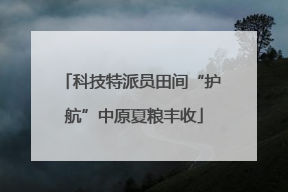 科技特派员田间“护航”中原夏粮丰收