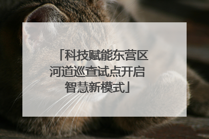 科技赋能东营区河道巡查试点开启智慧新模式