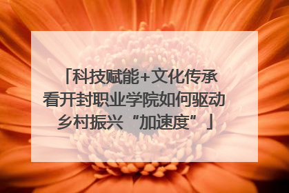 科技赋能+文化传承 看开封职业学院如何驱动乡村振兴“加速度”