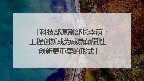 科技部原副部长李萌：工程创新成为成就颠覆性创新更重要的形式