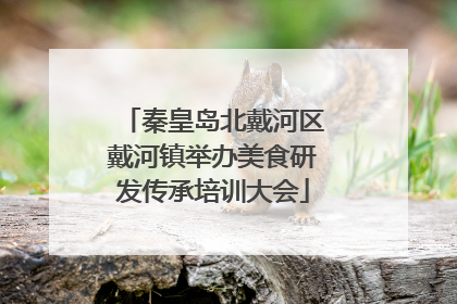 秦皇岛北戴河区戴河镇举办美食研发传承培训大会