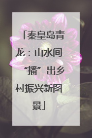 秦皇岛青龙：山水间“播”出乡村振兴新图景