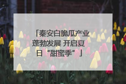 秦安白脆瓜产业蓬勃发展 开启夏日“甜蜜季”