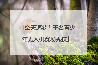 空天逐梦！千名青少年无人机赛场秀技