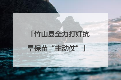 竹山县全力打好抗旱保苗“主动仗”