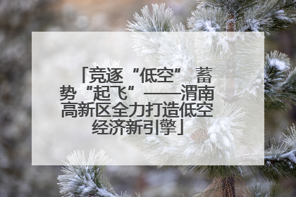 竞逐“低空” 蓄势“起飞”——渭南高新区全力打造低空经济新引擎