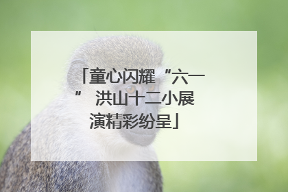 童心闪耀“六一” 洪山十二小展演精彩纷呈